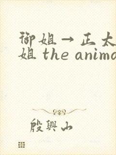 御姐→正太←御姐 the animation封面