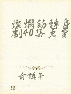 灿烂的转身电视剧40集免费观看高清封面