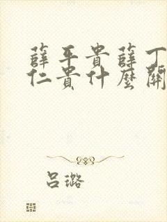 薛平贵薛丁山薛仁贵什么关系