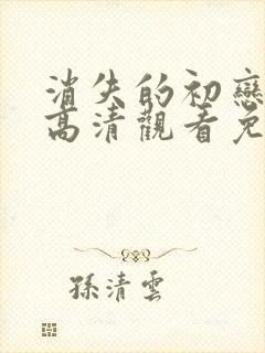 消失的初恋在线高清观看免费