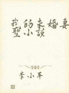 我的未婚妻是剑圣小说
