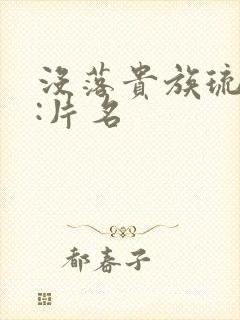 没落贵族琉璃川:片名封面