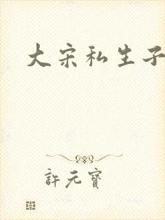 大宋私生子封面