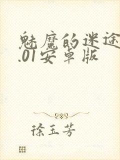 魅魔的迷途人1.01安卓版封面