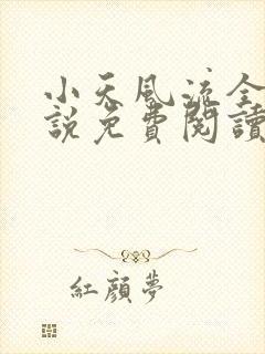 小天风流全集小说免费阅读