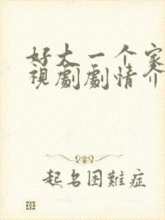 好大一个家 电视剧剧情介绍