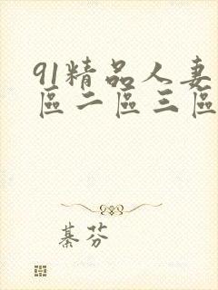 91精品人妻一区二区三区蜜桃久久