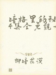 暗格里的秘密24集全免观看封面