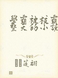 学霸被校霸罚一整天的小说