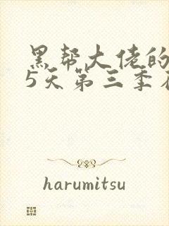 黑帮大佬的365天第三季在线观看封面