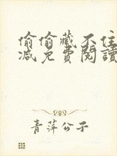 偷偷藏不住未删减免费阅读小说