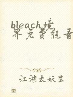 bleach境界免费观看全集完整版高清封面