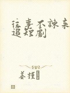 往事不谏来日可追短剧封面