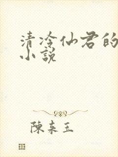 清冷仙君的堕落小说
