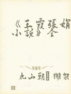 《王霞张娟张鹏小说》全封面