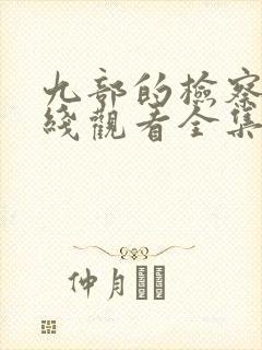 九部的检察官在线观看全集