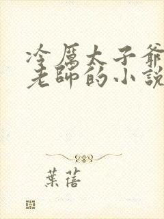 冷厉太子爷支教老师的小说