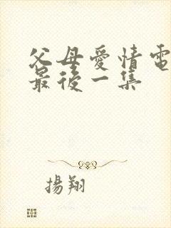 父母爱情电视剧最后一集