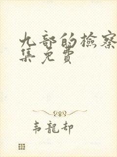 九部的检察官全集免费