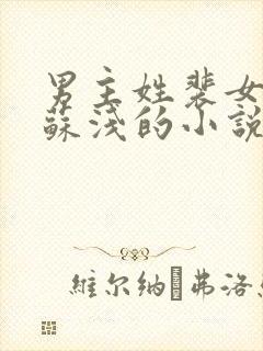 男主姓裴女主叫苏浅的小说封面