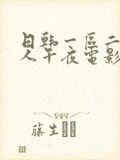 日韩一区二区成人午夜电影封面