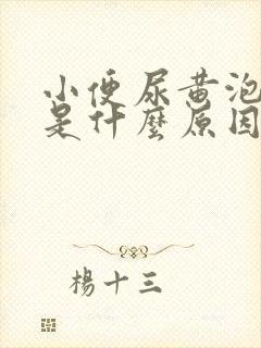 小便尿黄泡沫多是什么原因引起的