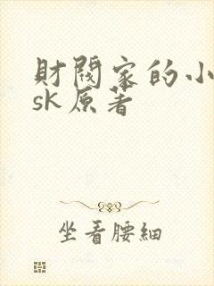 财阀家的小儿子sk原著