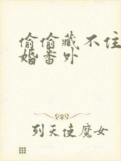 偷偷藏不住的新婚番外