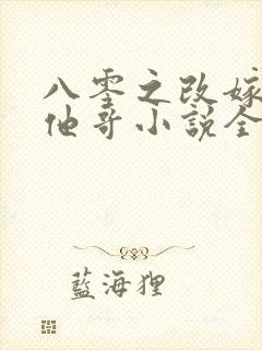 八零之改嫁前夫他哥小说全文下载