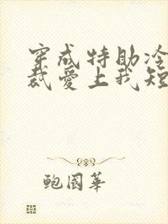 穿成特助冷艳总裁爱上我短剧免费观看