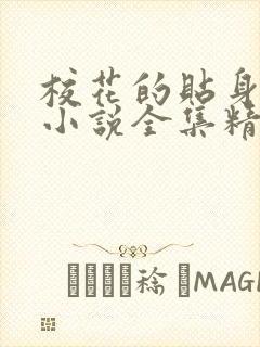 校花的贴身高手小说全集精校版下载