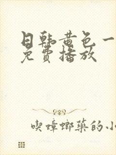 日韩黄色一级片免费播放