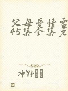 父母爱情电视剧45集全集免费