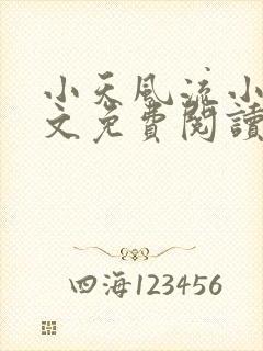 小天风流小说全文免费阅读无弹窗下