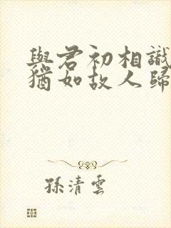 与君初相识, 犹如故人归