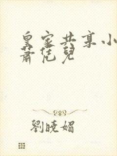 皇家共享小公主萧凭儿