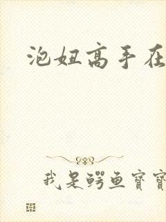 泡妞高手在都市封面