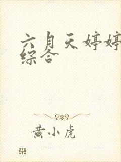 六月天婷婷丁香综合