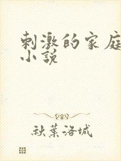 刺激的家庭乱仑小说