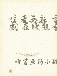 信者无敌 电视剧 在线观看