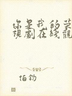 你是我的荣耀电视剧在线观看免费观看封面