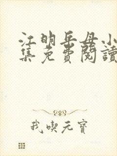 江明岳母小说全集免费阅读