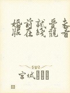 婚前试爱未删减版在线观看