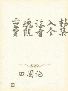 灵魂注入动漫免费观看全集高清版封面