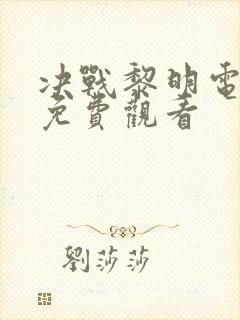 决战黎明电视剧免费观看封面