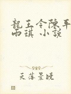 龙王令陈平,苏雨琪 小说