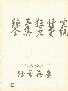 辣手狂情完整版全集免费观看高清