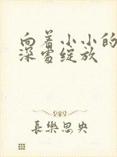 向着小小的花蕾深处绽放