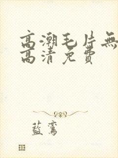 高潮毛片无遮挡高清免费