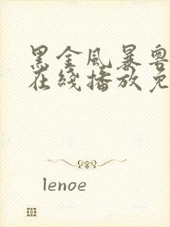 黑金风暴粤语版在线播放免费封面